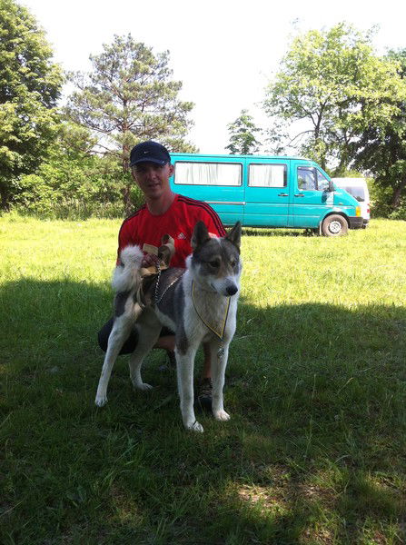 Александр Дмитрив