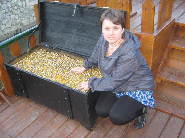 Ирина Небесных