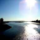 Александр Савич