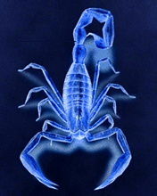 Вивчарик Сергей