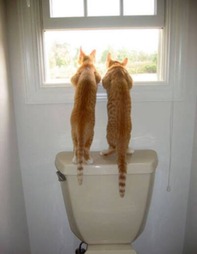 Стас Волков