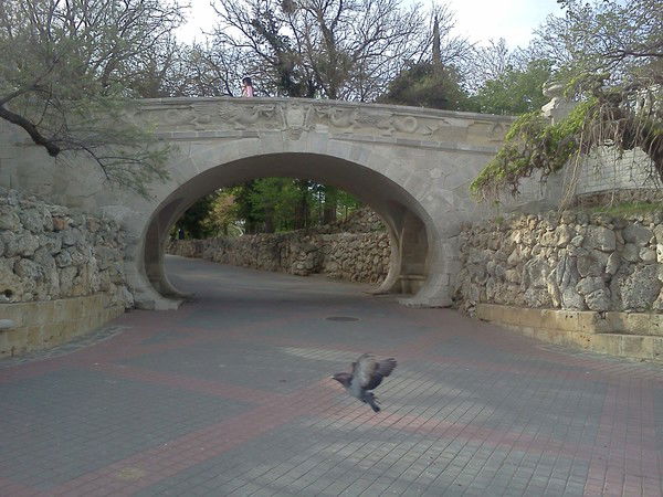 Наталья Жадько Наталья Носенко