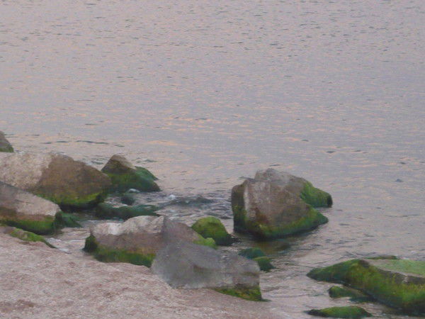 Светик Виноградова