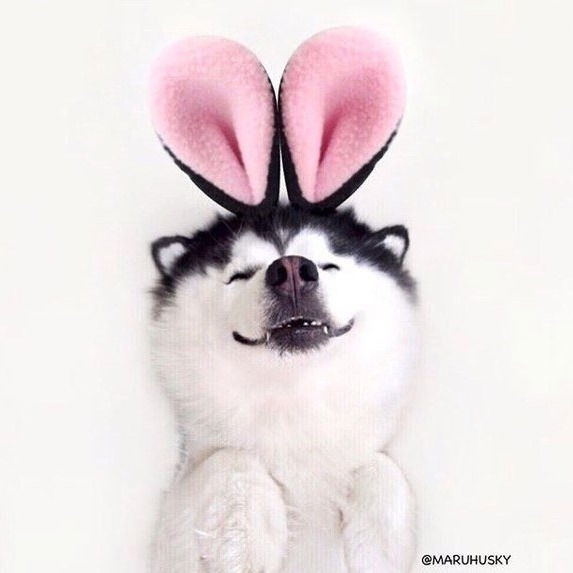 Анна Макарова