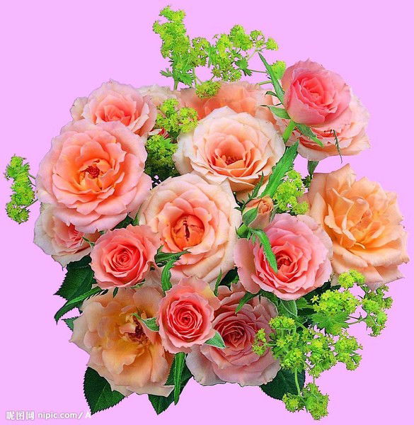 Jennet Abdyrahmanowa