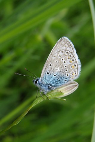 Екатерина Дьяконова