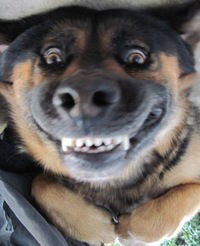 Иван Курочкин