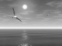 Алеся Ганчар