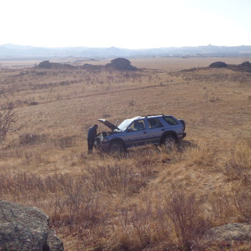 Елена Бут(Доронина)