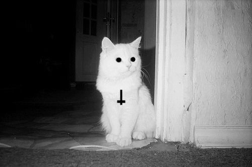 Мстислава Соколова