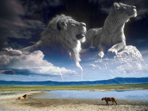 Сабир Вагапов