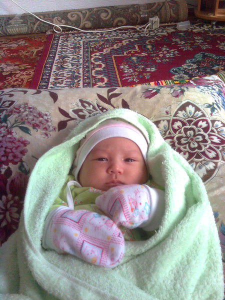 Помка Томка