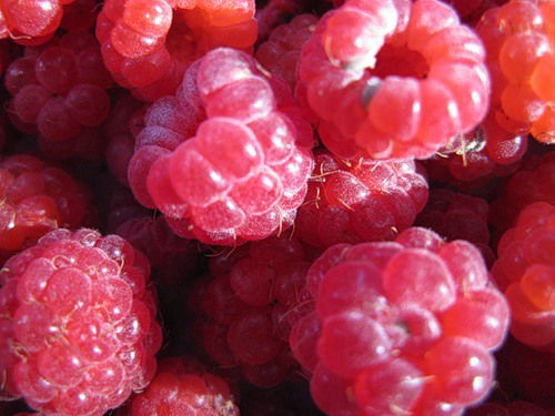 Ирина Пименова