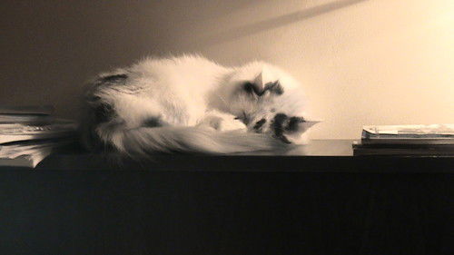 Баженова Ольга