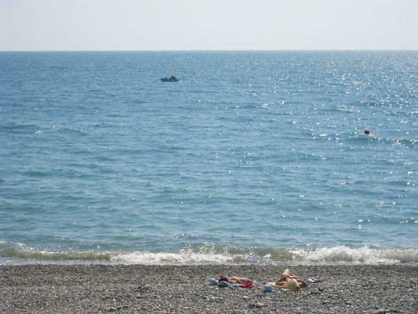 Владимир )))