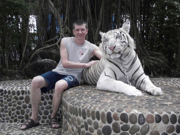 Дмитрий Богданов