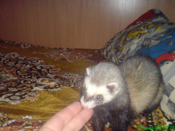 Юлия Васильева