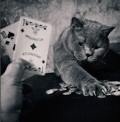 Эдуард Чалиян