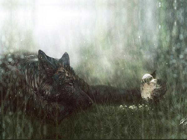 Иван Касьянов