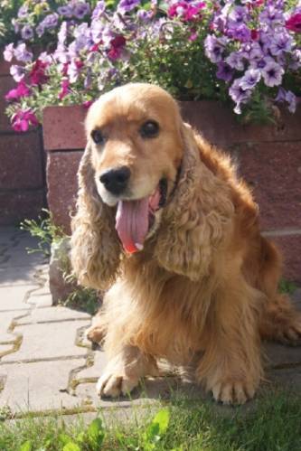 Валерий Бондаренко