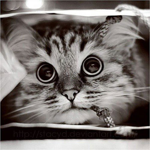 Валентина Валентина