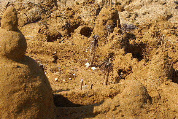 Светлана Нам