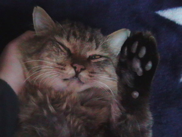 Алексей Галай