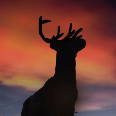 Севр Старикашка