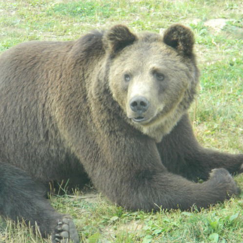 Сергей Валиулин