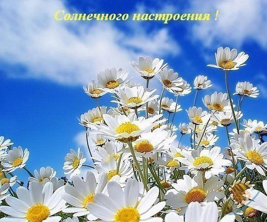 Гулмира Матышева