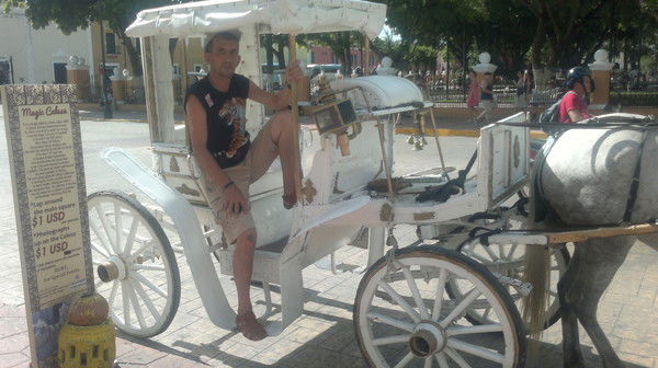 Дмитрий Шашкин