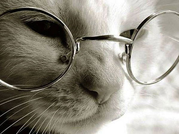 Николай Глухов