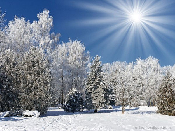 Иван Смирнов