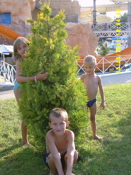 Владимир Силаков