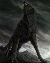 Александр Аникин