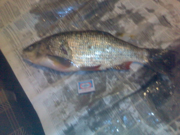 Михаил Грачёв