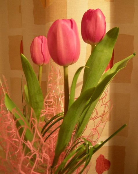 Umsynai Nurmaganbetova