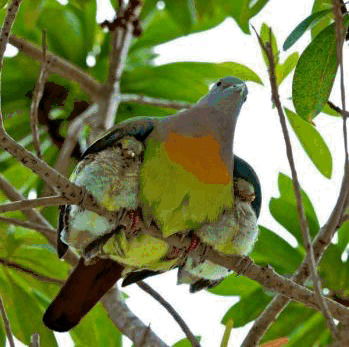 Эльвира Балтабаева