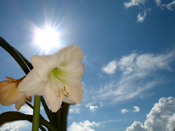 Подойникова Татьяна