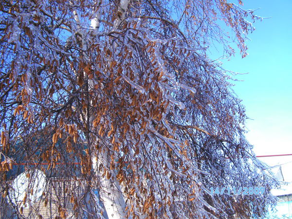 Виктор Гурьев