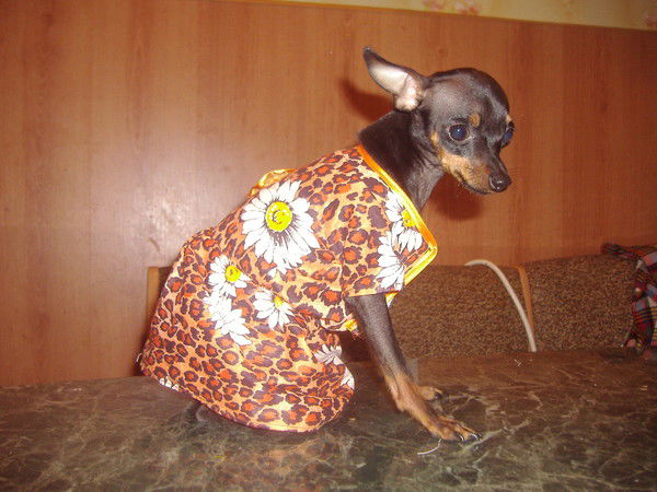 Таня Вершинина