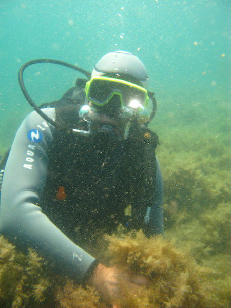 Андрей Лукьяненко