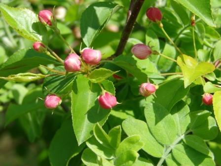 Наталья Лугинина
