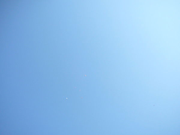 Глеб Моргун