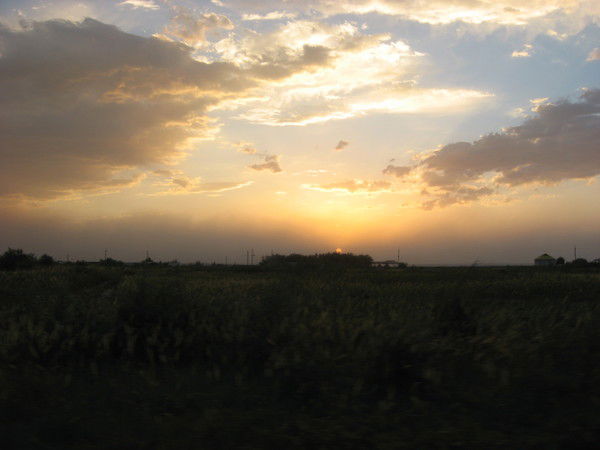 Ольга Щербакова