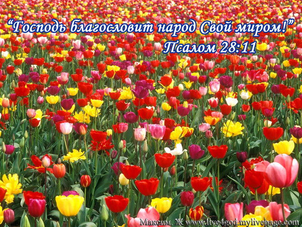 Валентина Маматова