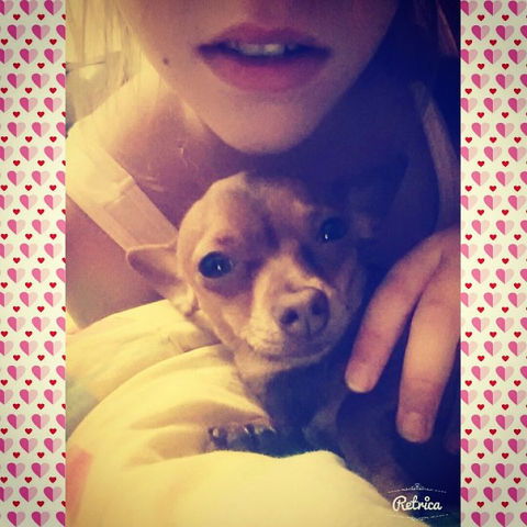 Надя Павлова