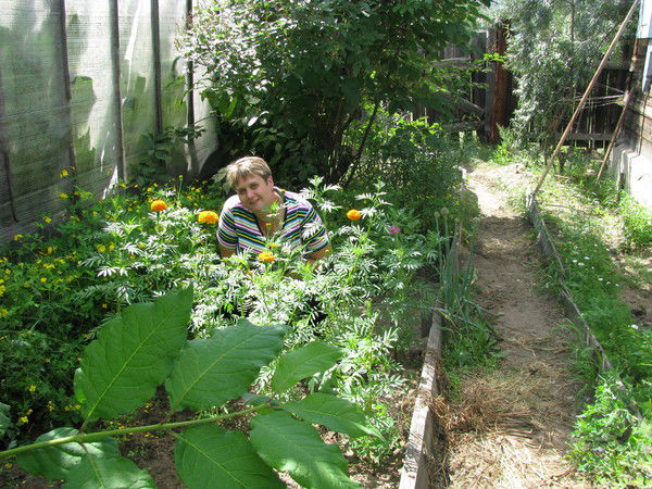 Светлана Петриченко