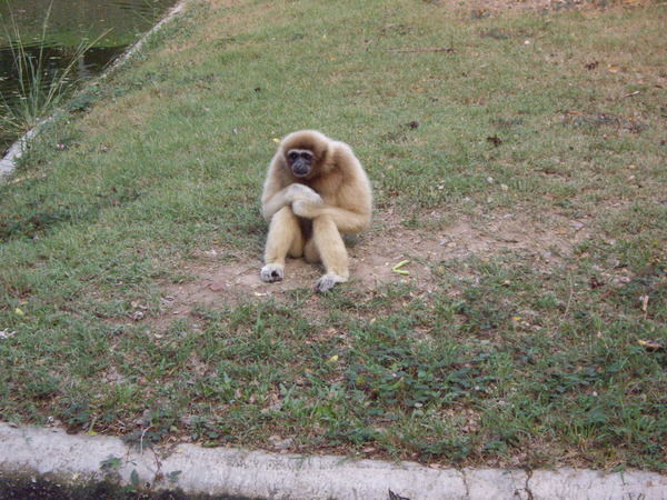 Виталий Арбузов