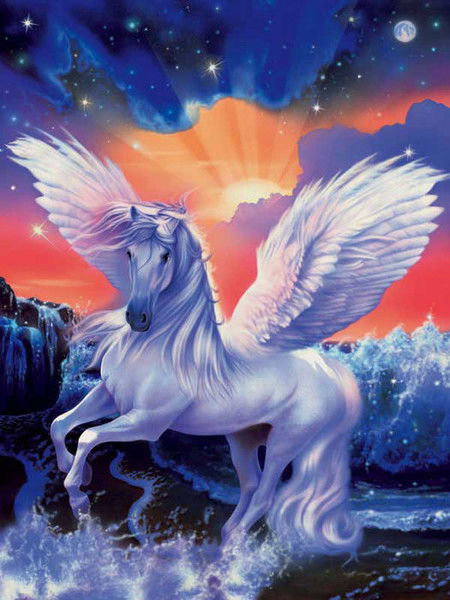 Анастасия Полубкова